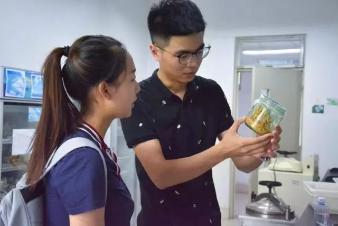 介绍虫草的培养过程