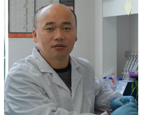 Hongjun Liu